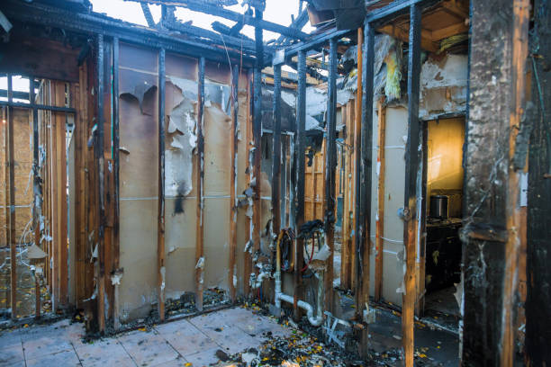 Professional Fire Damage Removal technician working in Washington, PA